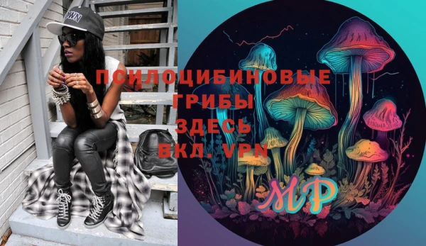 МДПВ Новозыбков