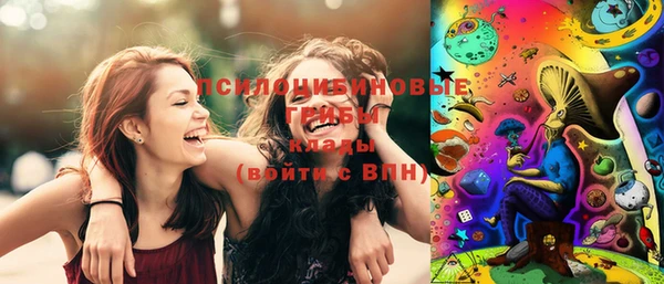 apvp Мензелинск
