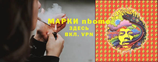 МДПВ Новозыбков