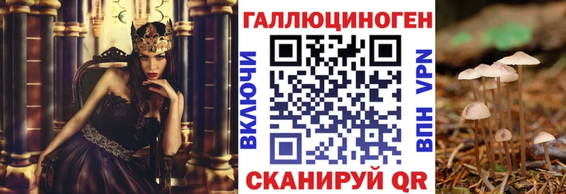 хочу   гидра вход  Псилоцибиновые грибы Cubensis  Россошь 